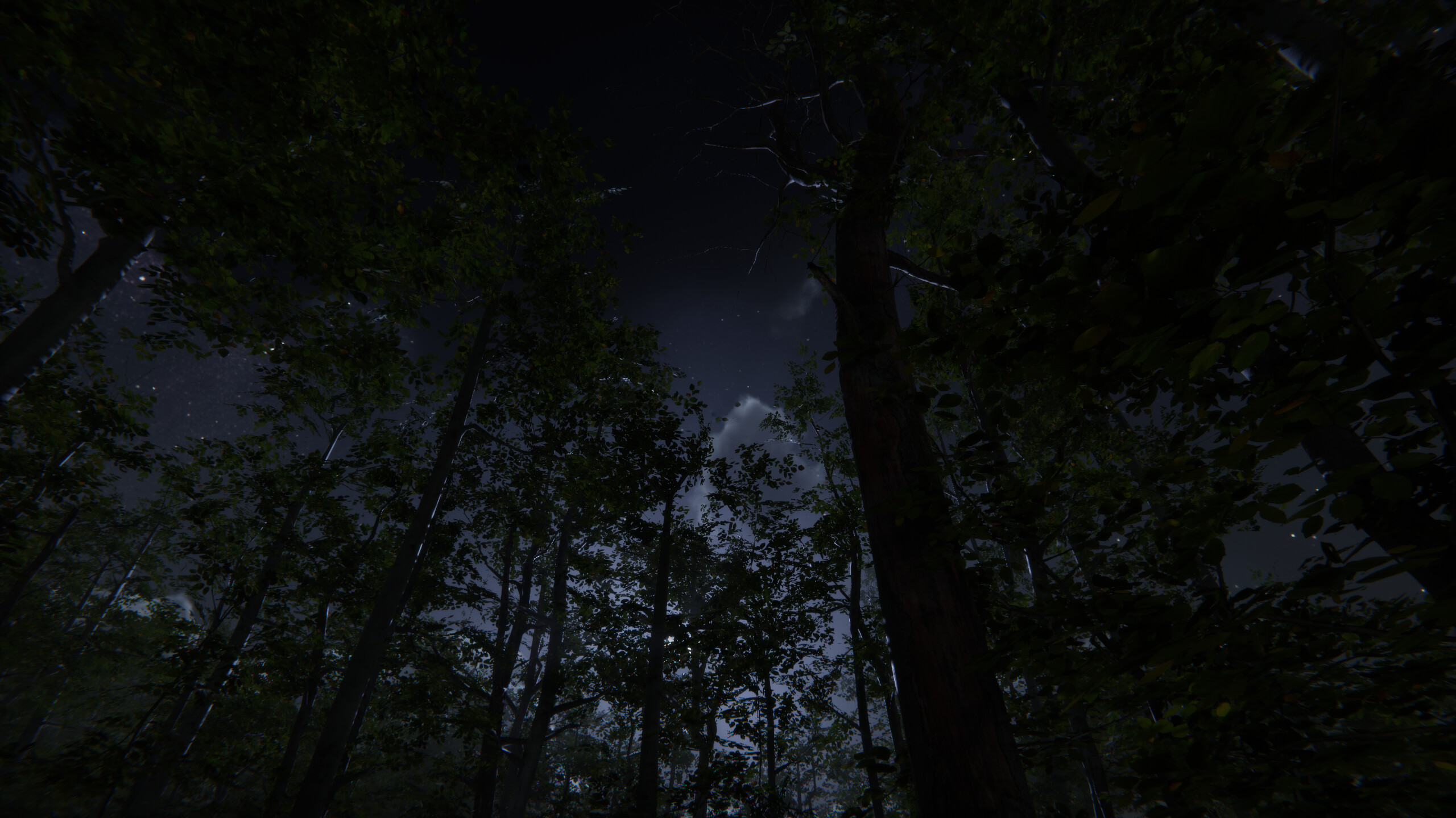 Camping Vlog Simulator 2024 screenshot 8