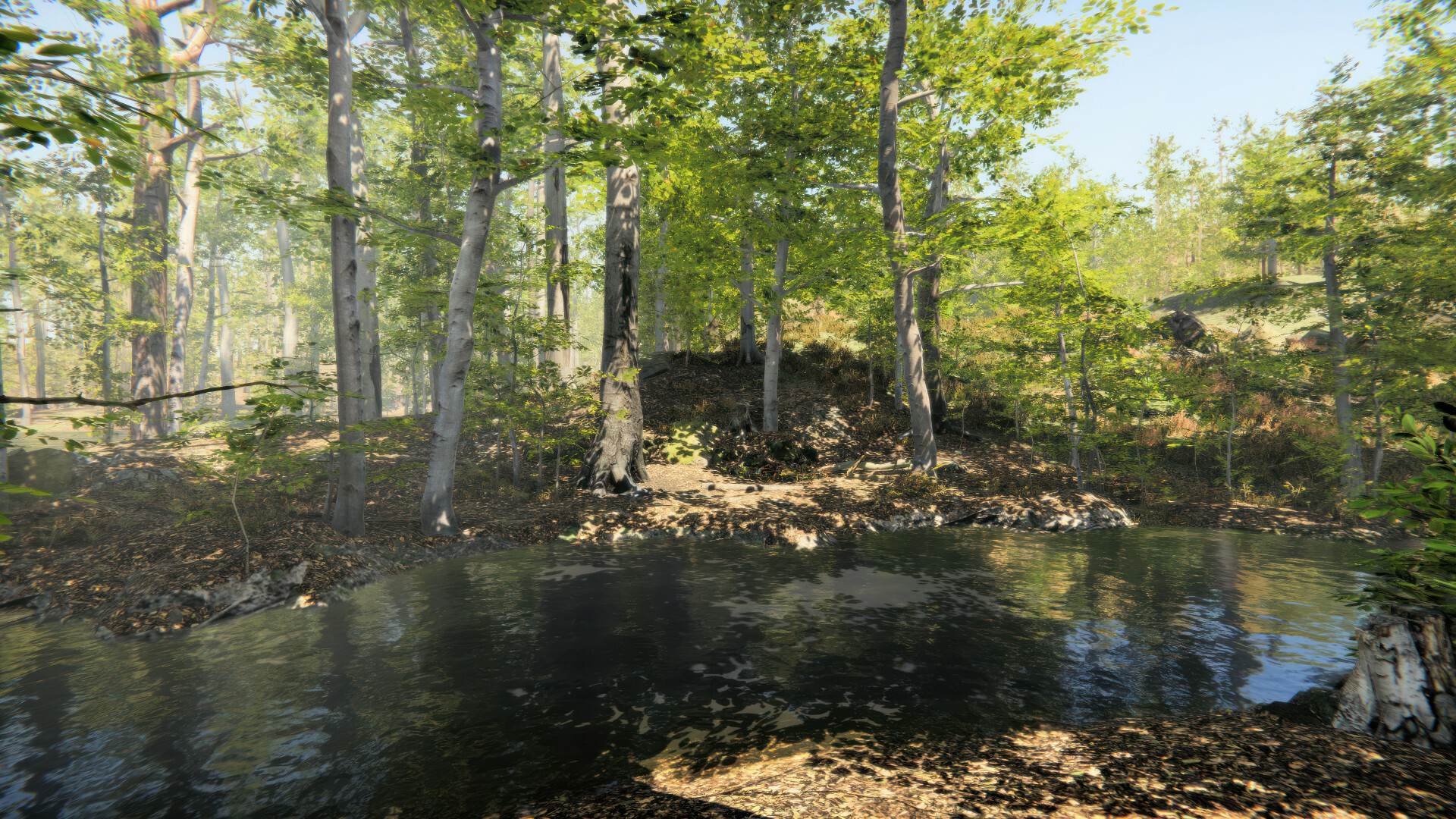 Camping Vlog Simulator 2024 screenshot 5