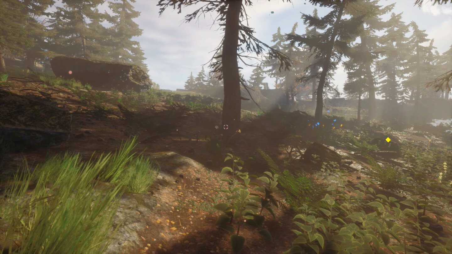 Gnarly Hike screenshot 12
