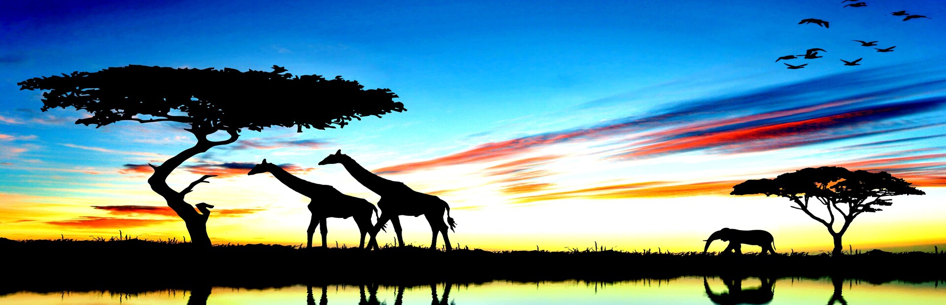 Savanna Story Diamond Edition