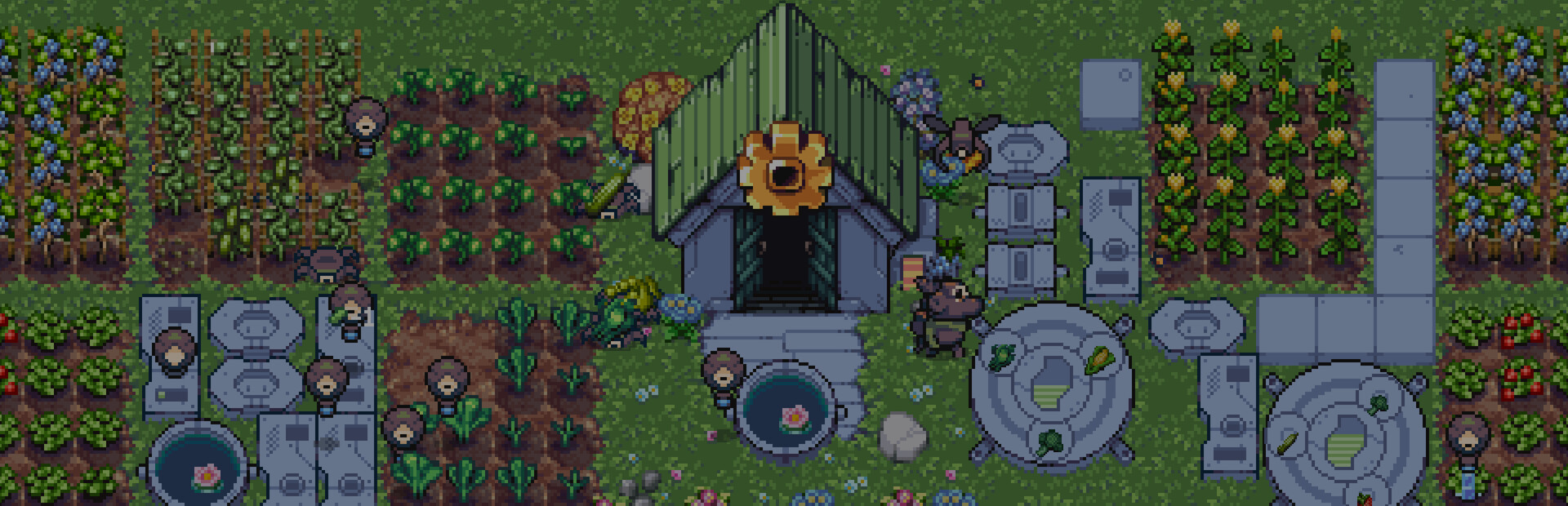 Capsule