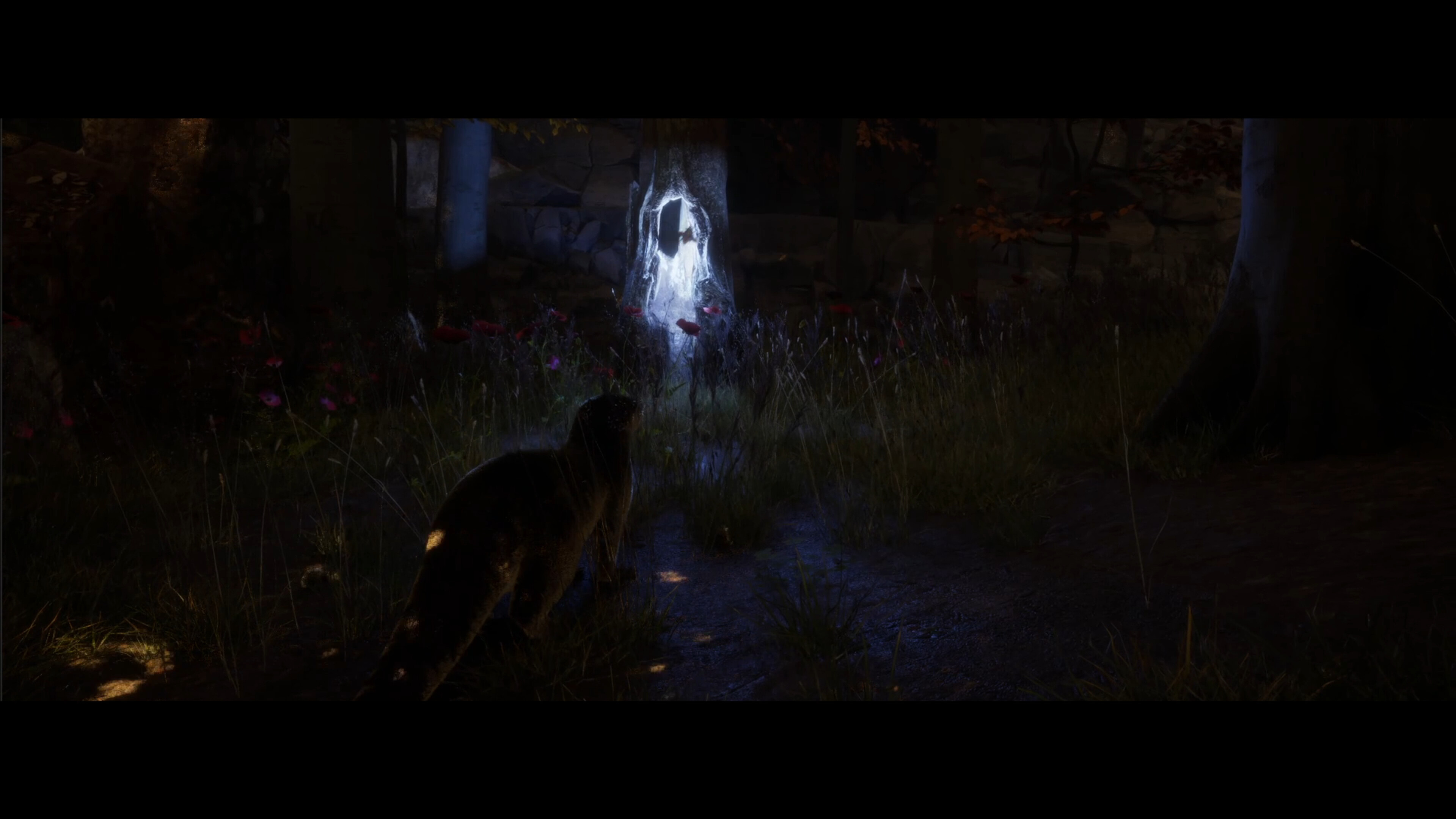 Dear, Lake screenshot 7