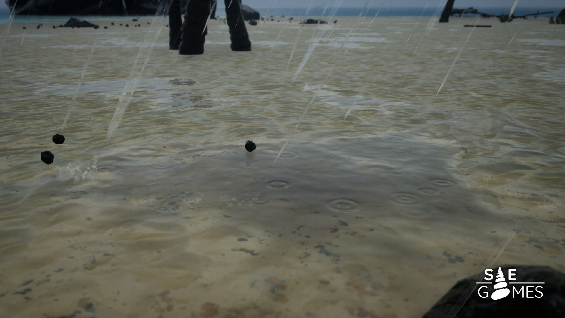 SAE screenshot 10
