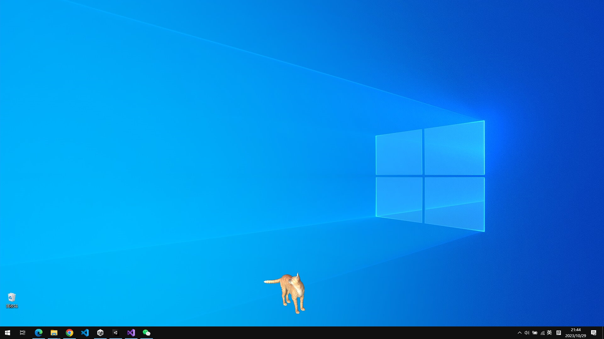 Cat On The Desktop screenshot 5