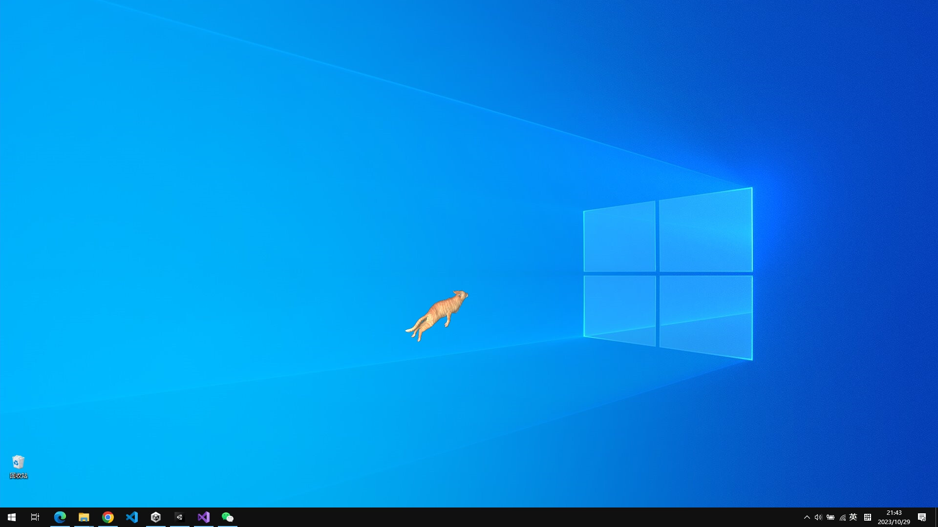 Cat On The Desktop screenshot 4