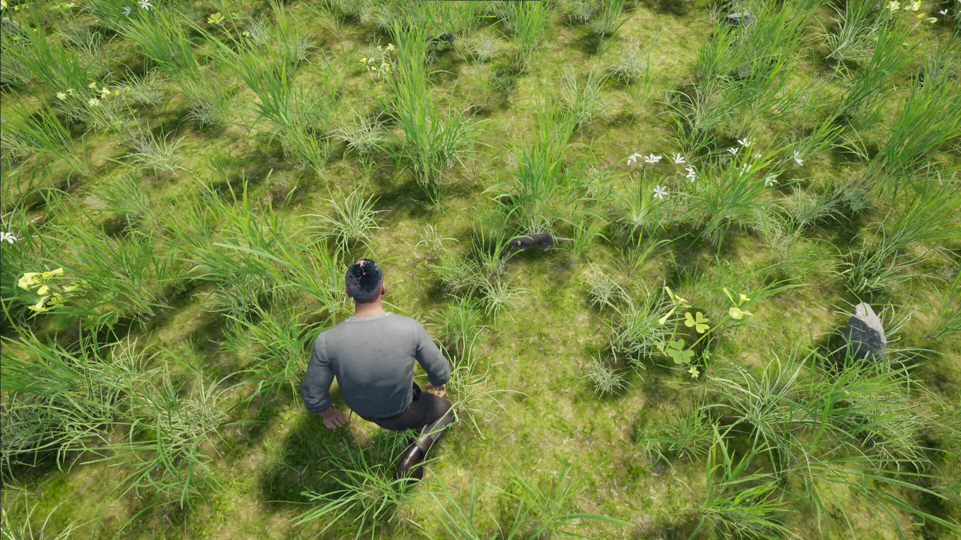 Statera: Aurum screenshot 3