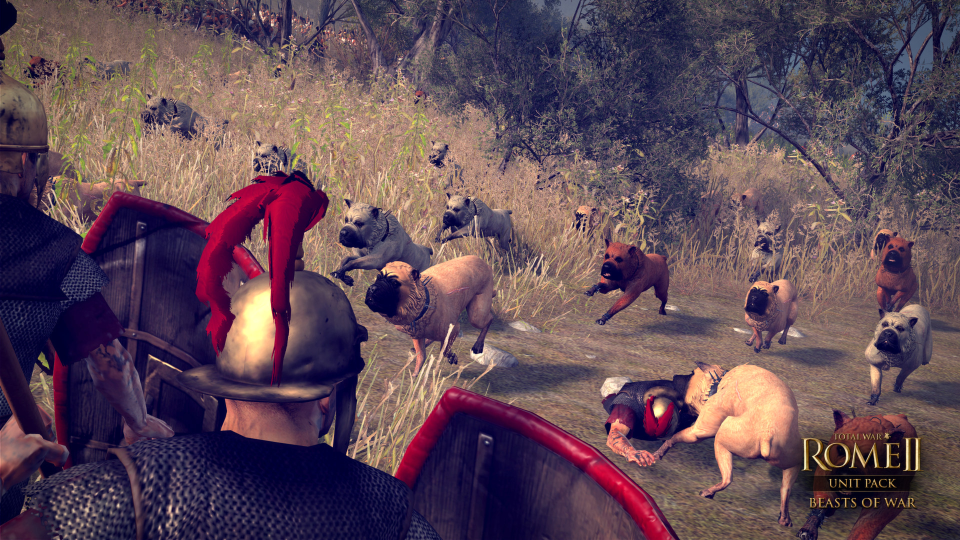 Total War: ROME II - Beasts of War screenshot 6