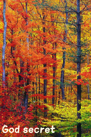 41b64ada-4345-e879-6664-7fe62b1db7fb