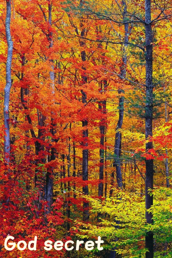 6cc97801-ffff-c38d-6827-fc9235cbb12a