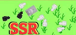 SSR