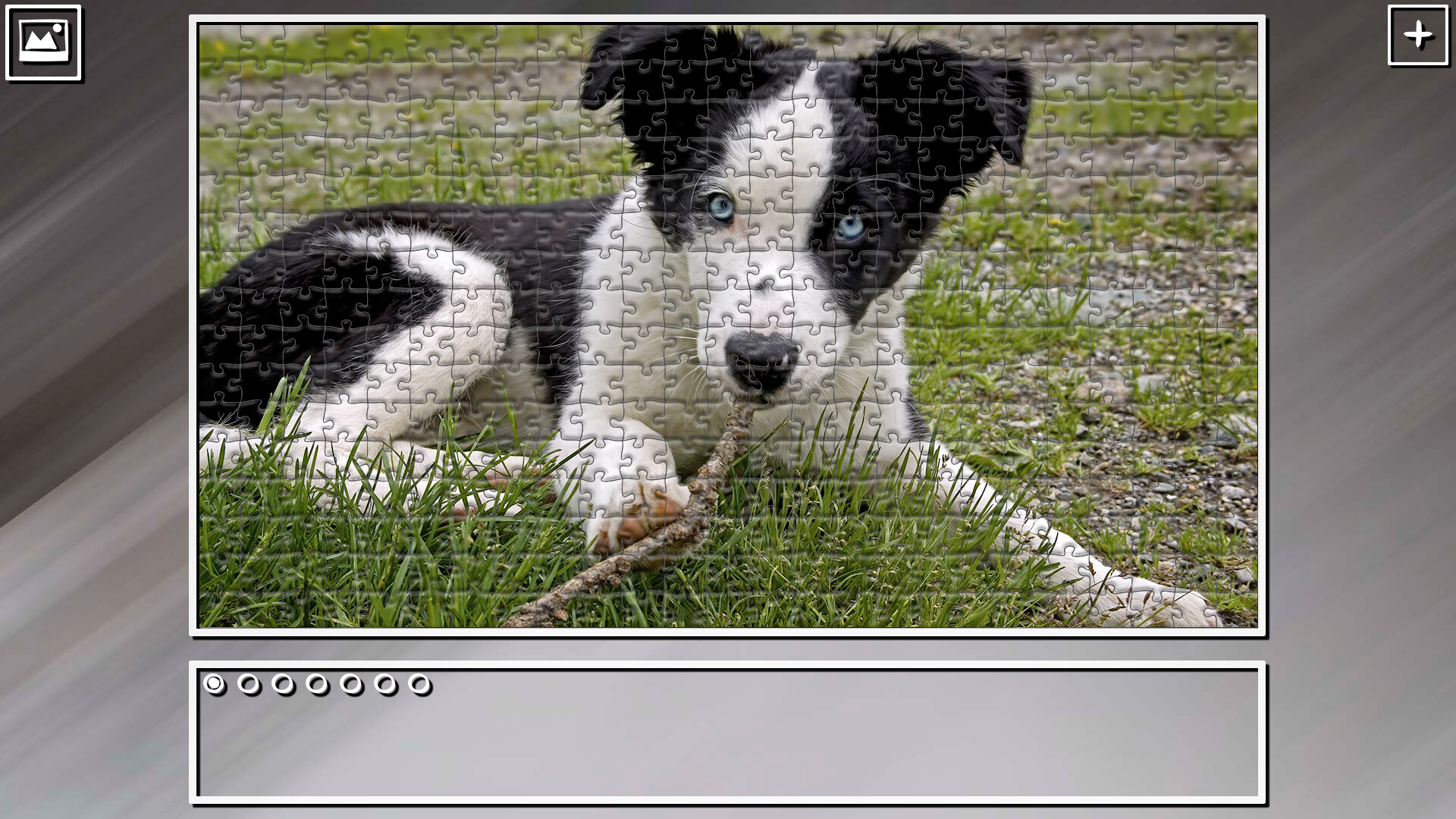 Super Jigsaw Puzzle: Generations - Dogs 2 screenshot 11