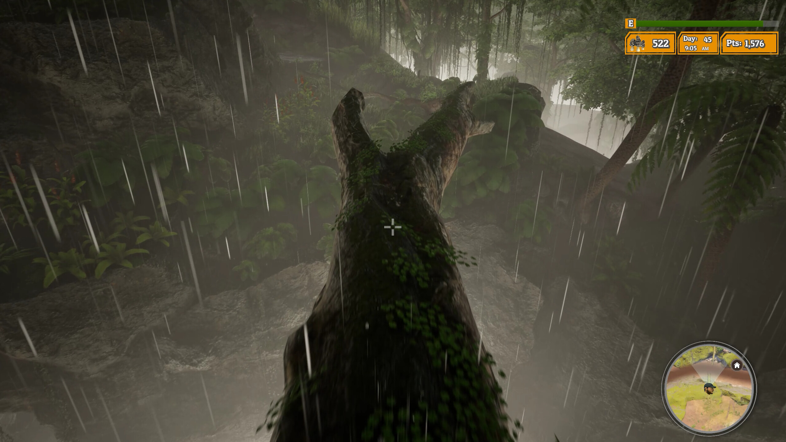 Morels: The Hunt 2 screenshot 24