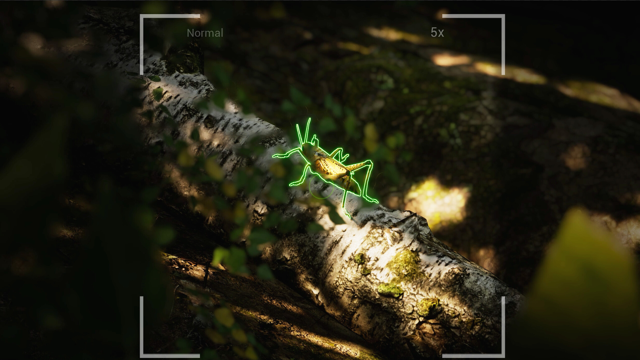 Morels: The Hunt 2 screenshot 9
