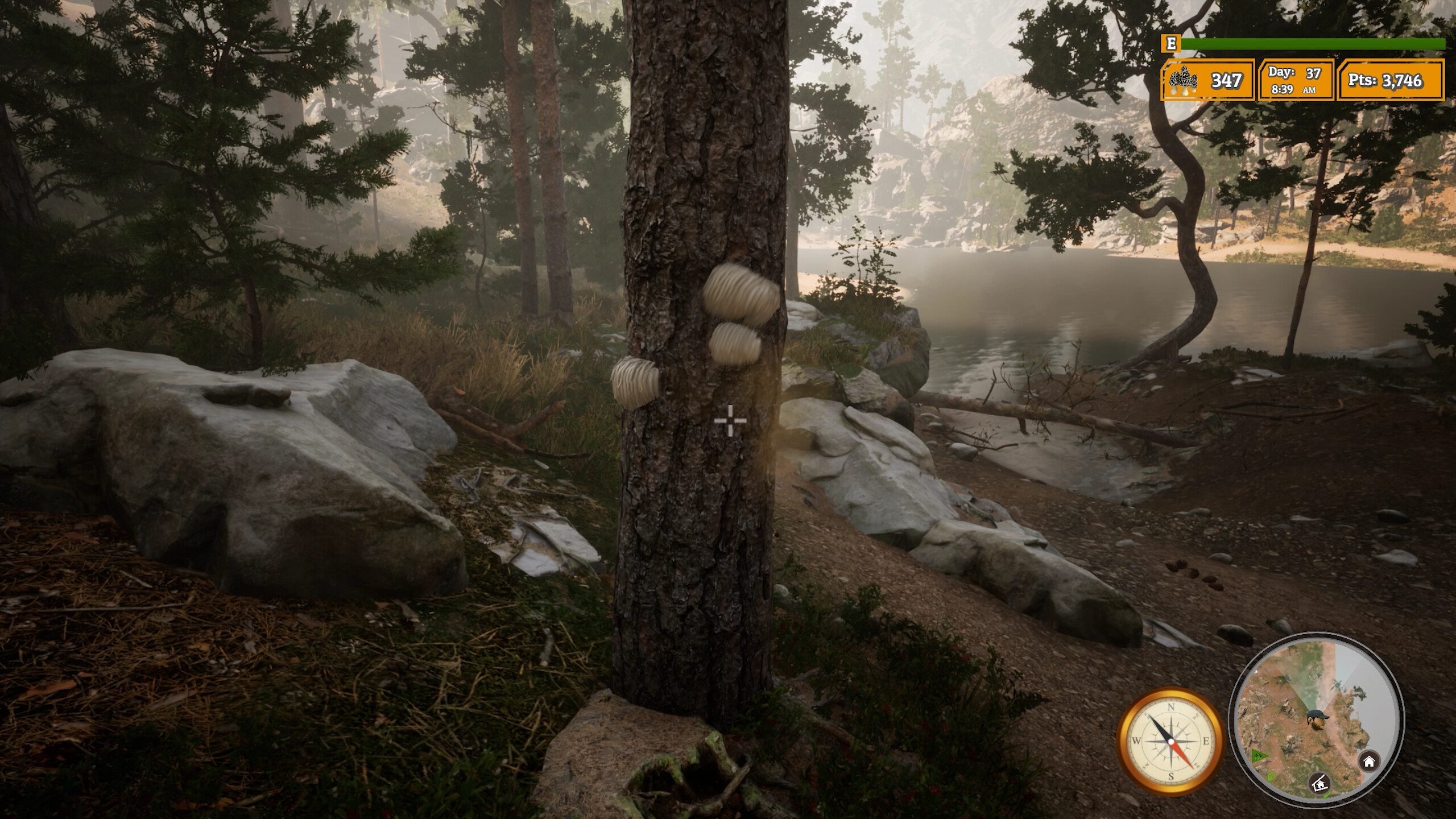 Morels: The Hunt 2 screenshot 8