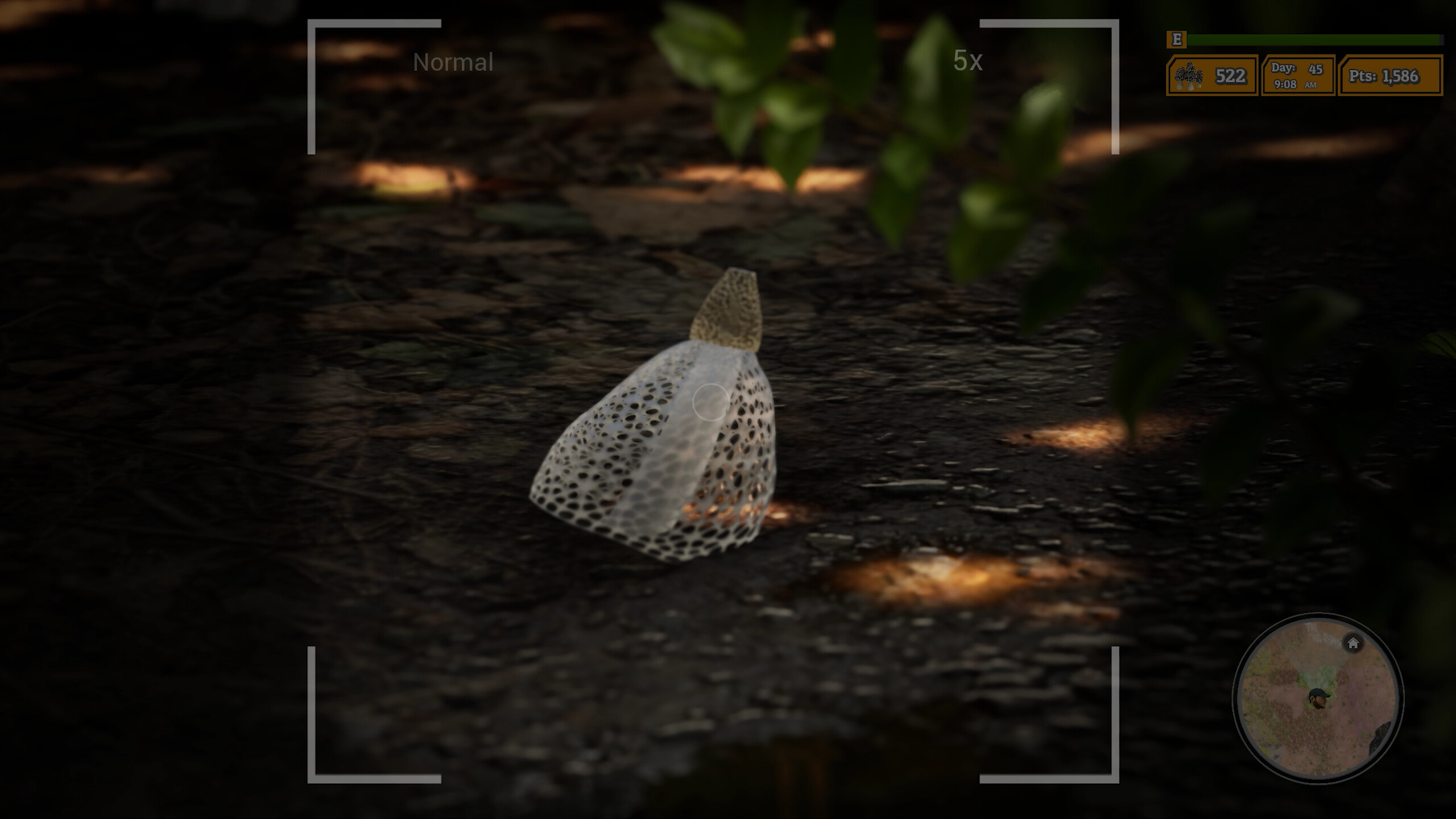 Morels: The Hunt 2 screenshot 17