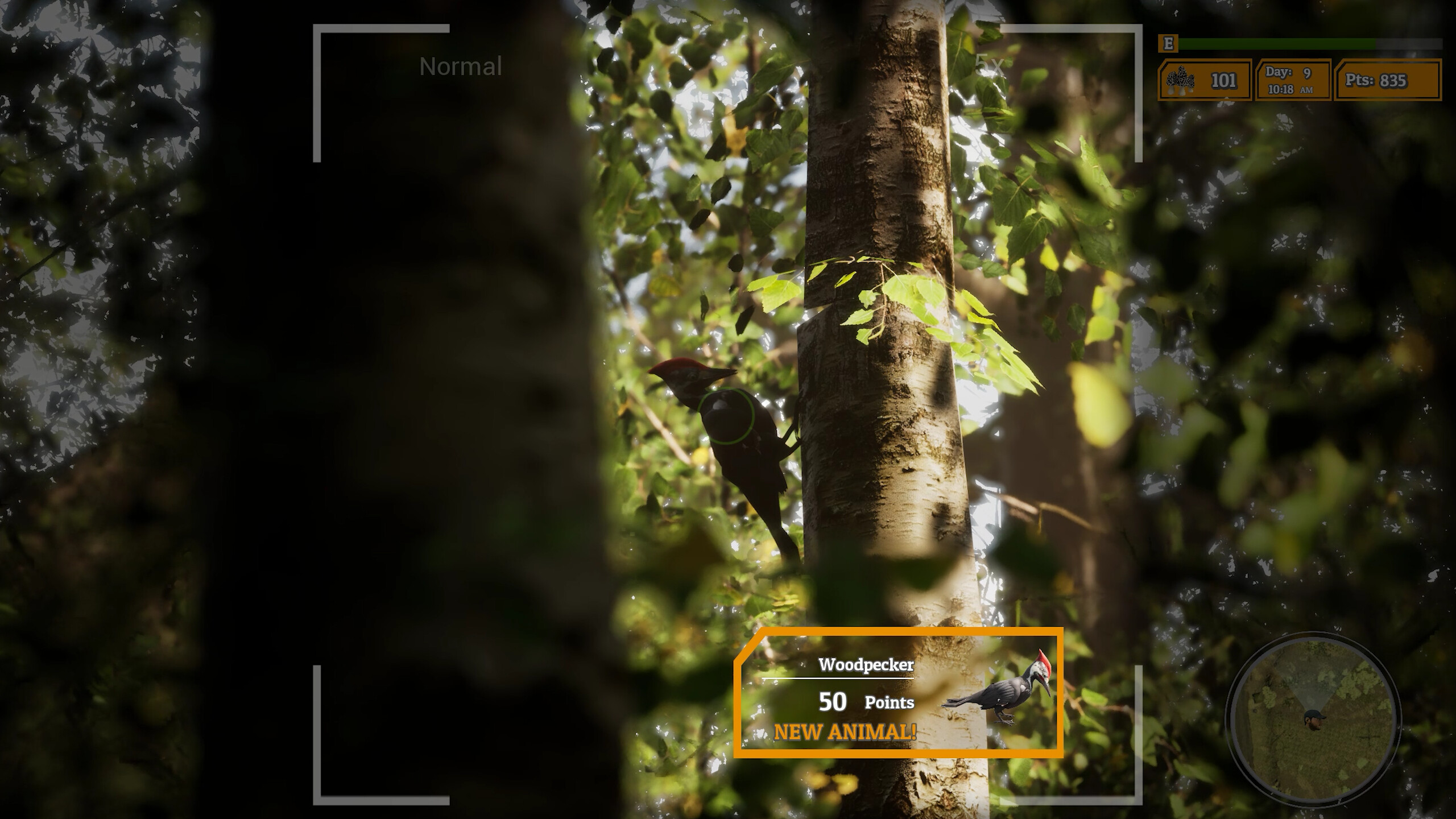 Morels: The Hunt 2 screenshot 5