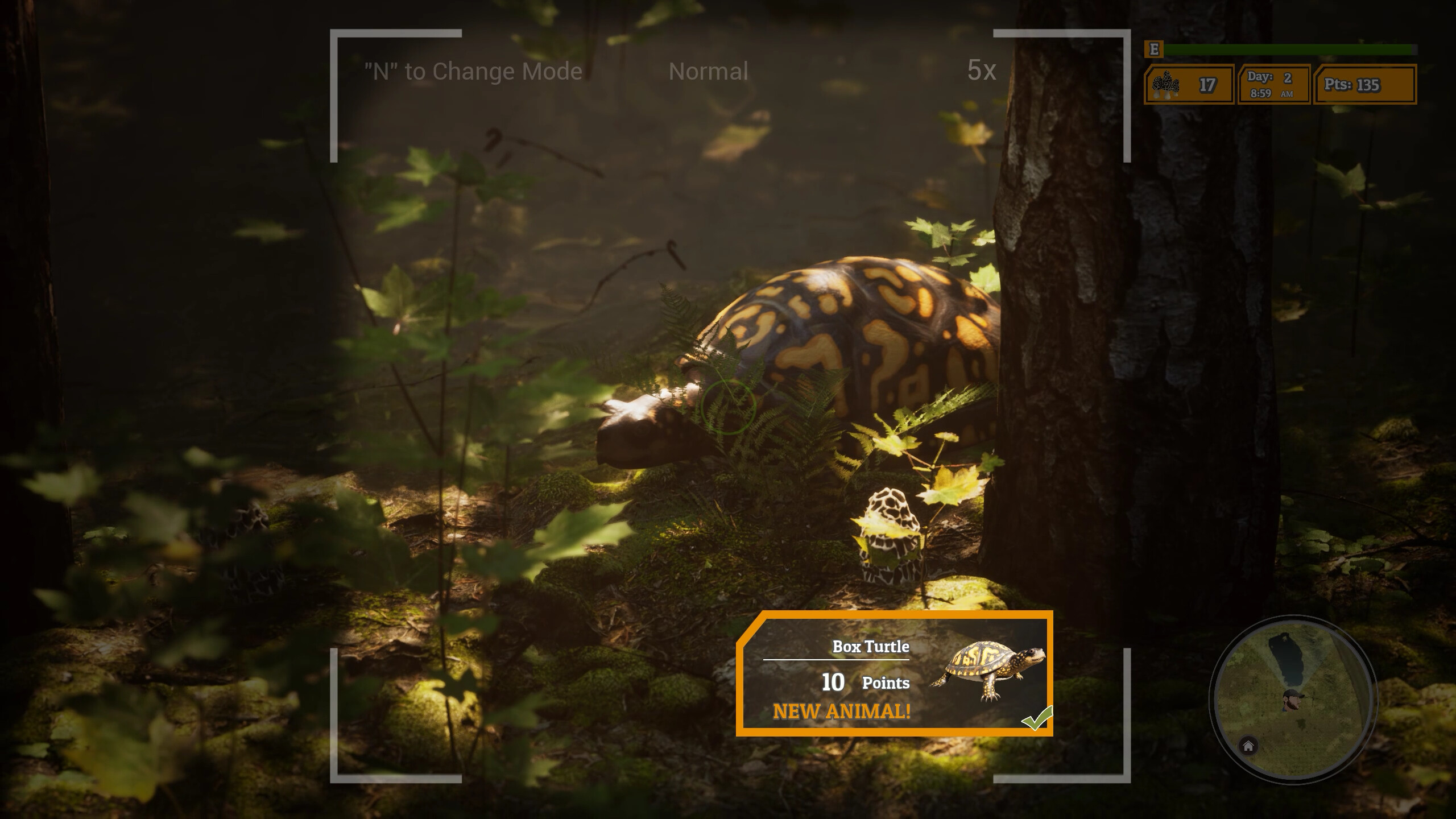 Morels: The Hunt 2 screenshot 7