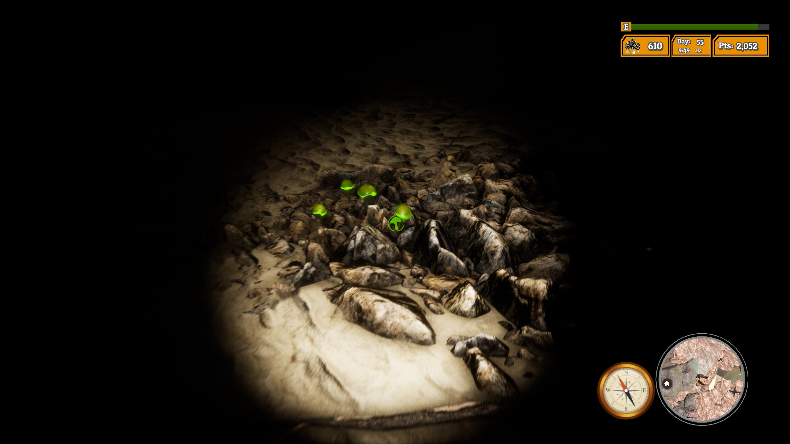 Morels: The Hunt 2 screenshot 25