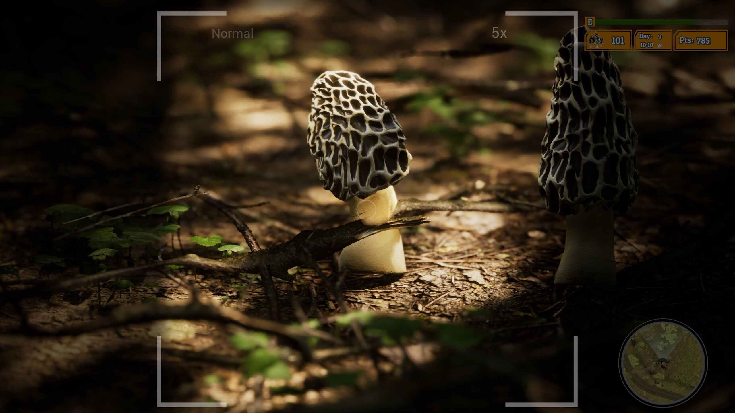 Morels: The Hunt 2 screenshot 23