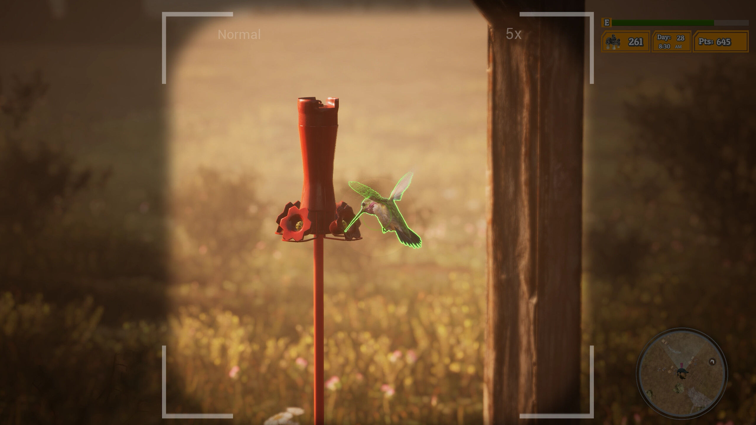 Morels: The Hunt 2 screenshot 2