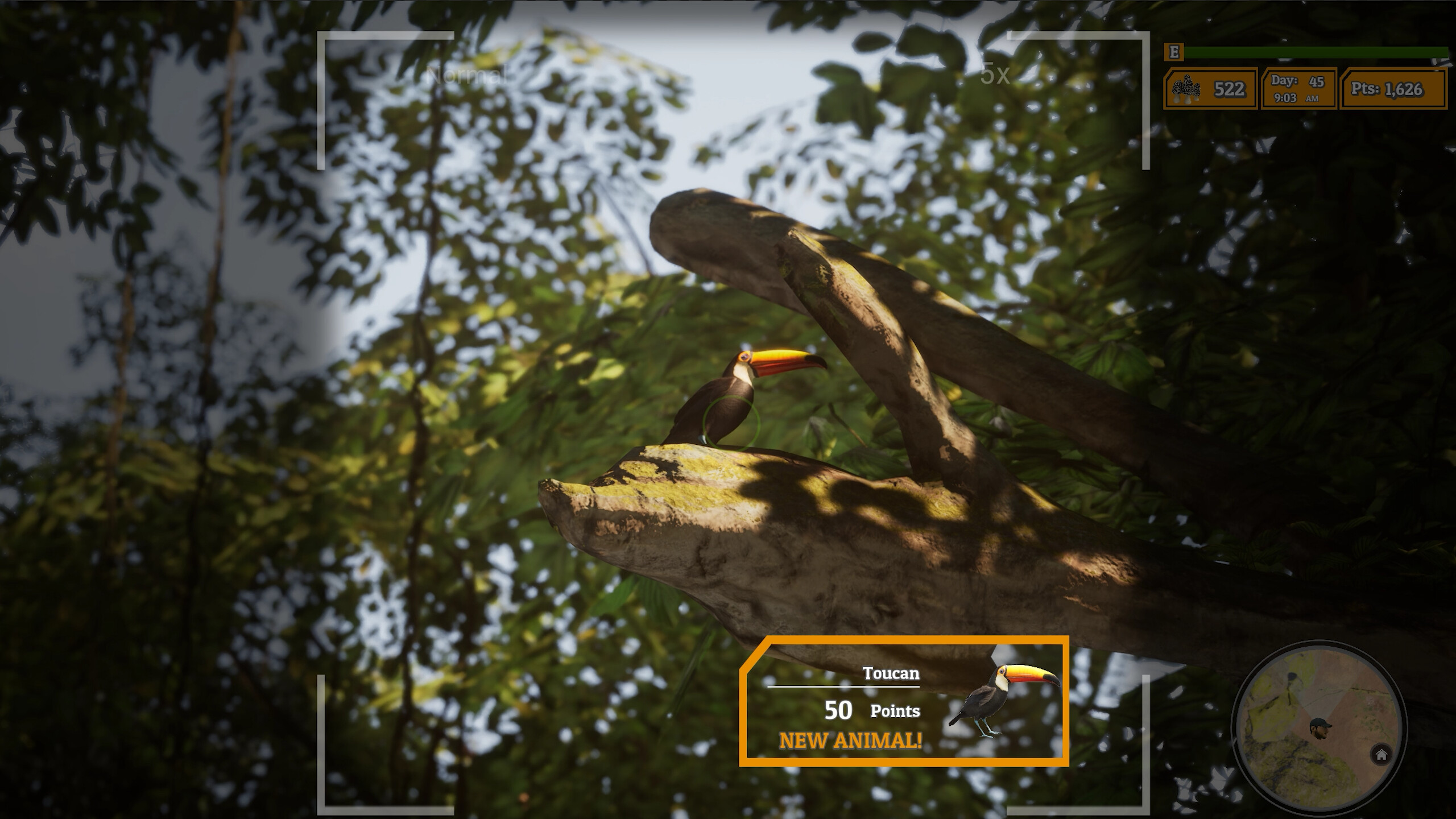 Morels: The Hunt 2 screenshot 22