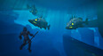 A screenshot of Voyagers of Nera