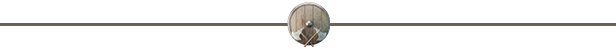 Separator-GM.png