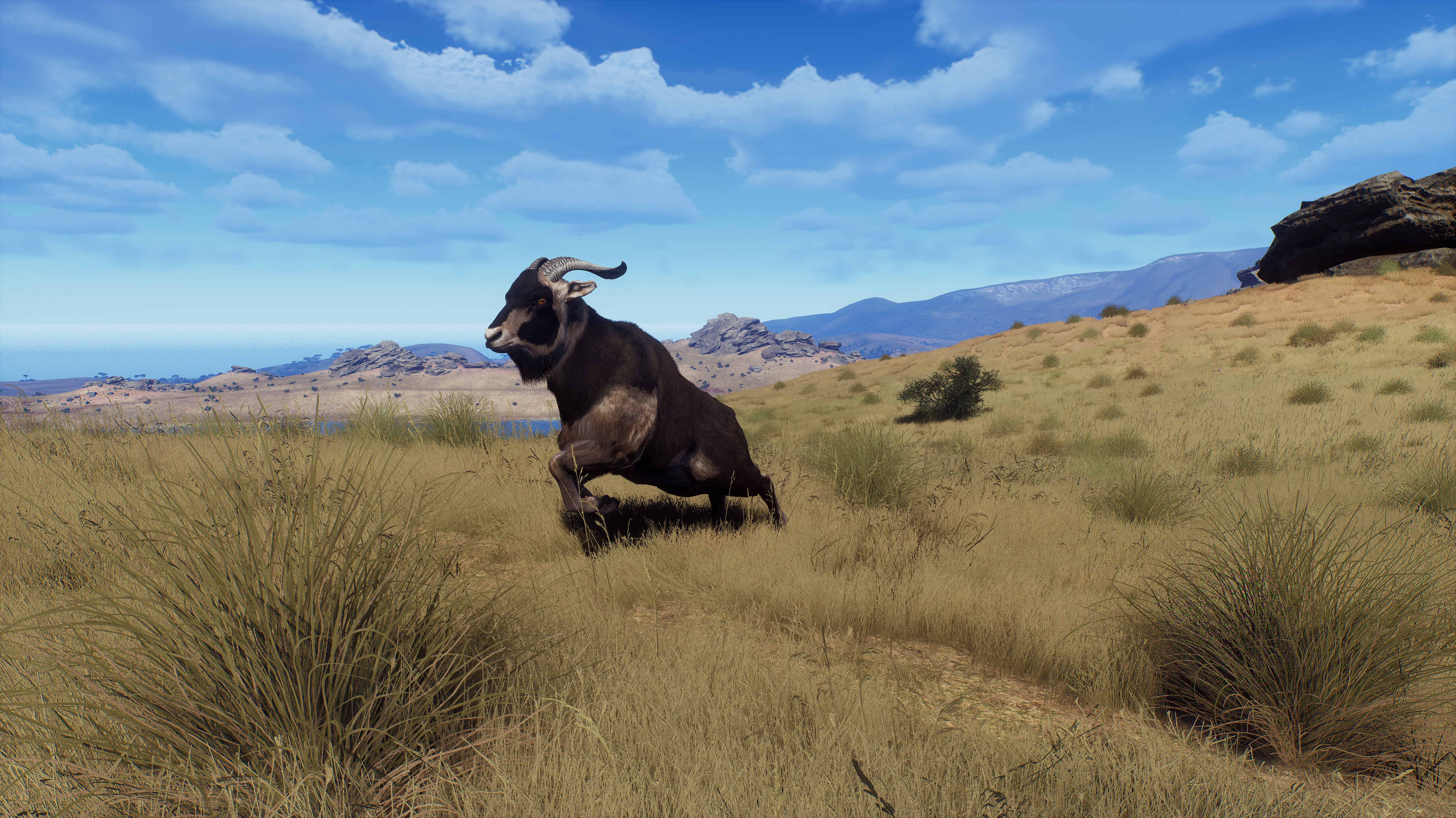 Way of the Hunter - Matariki Park screenshot 4