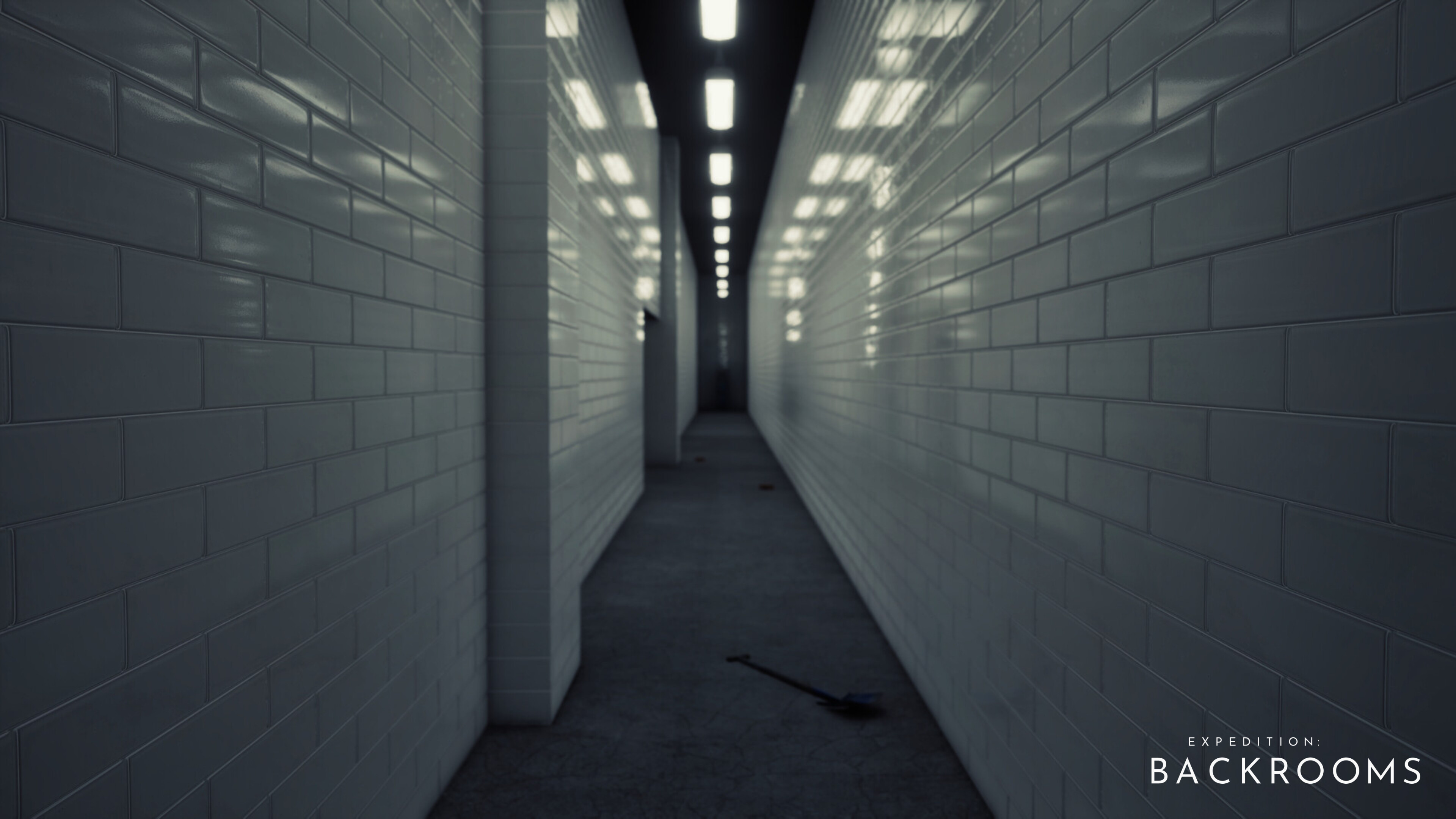 Expedition: Backrooms screenshot 11