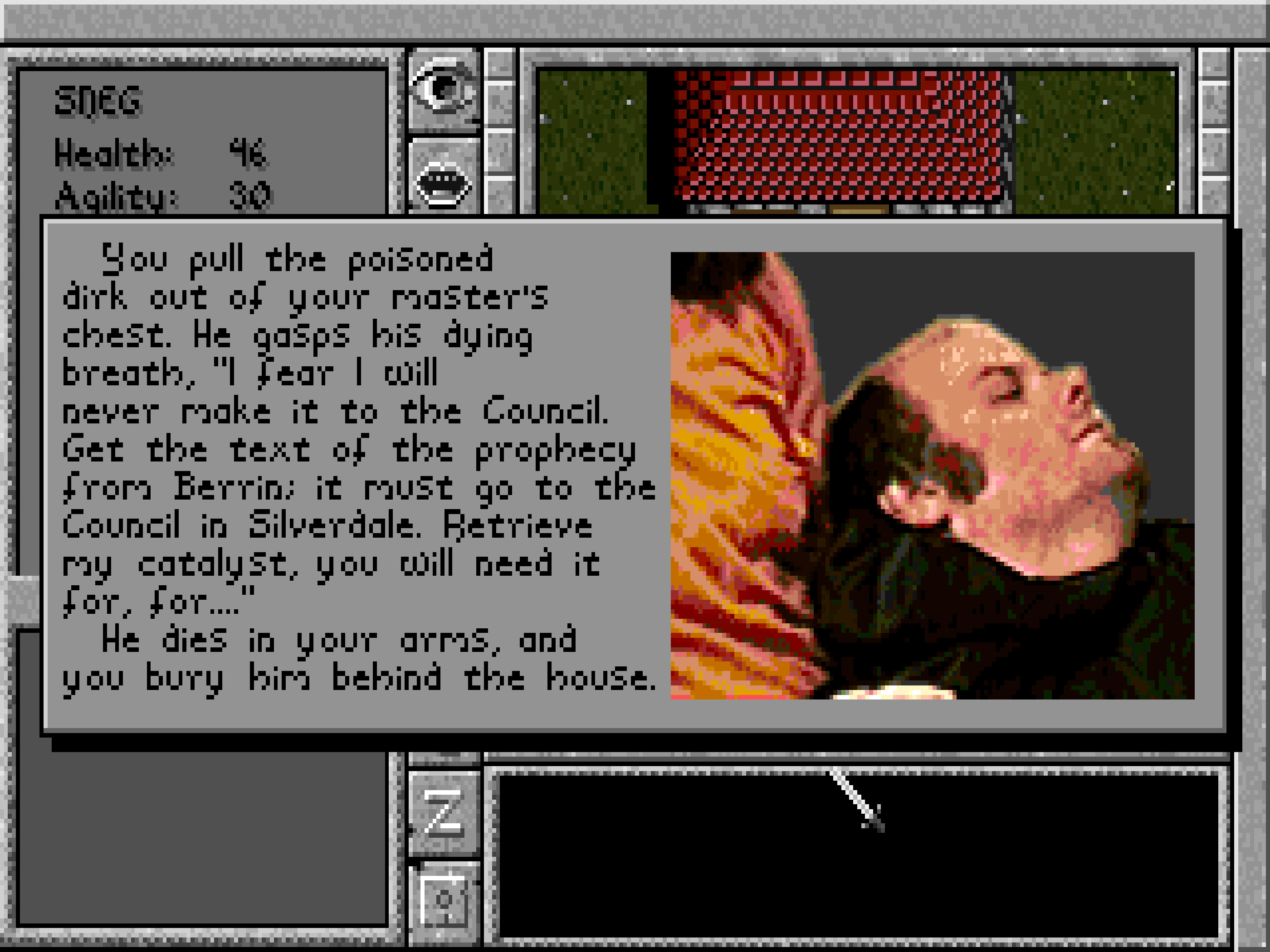 Prophecy of the Shadow screenshot 1