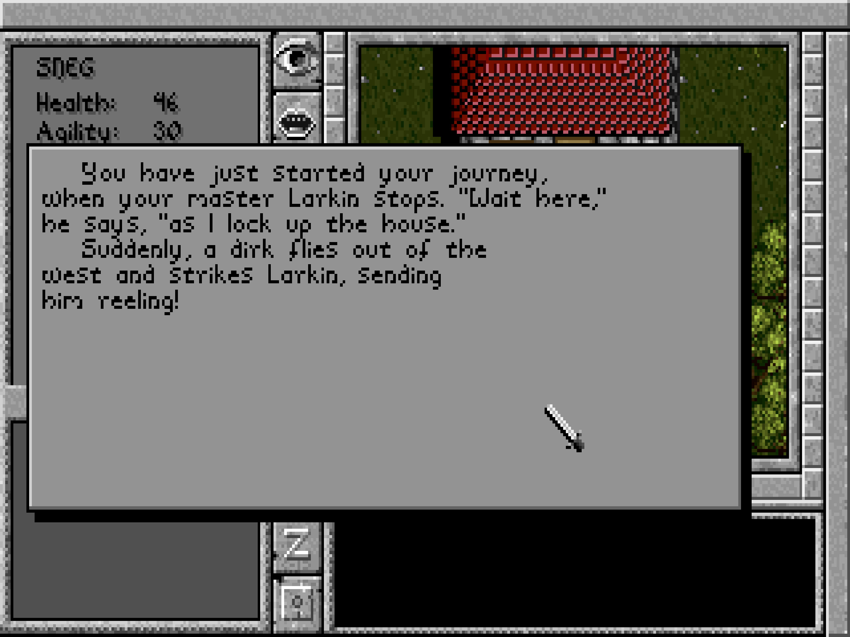 Prophecy of the Shadow screenshot 10