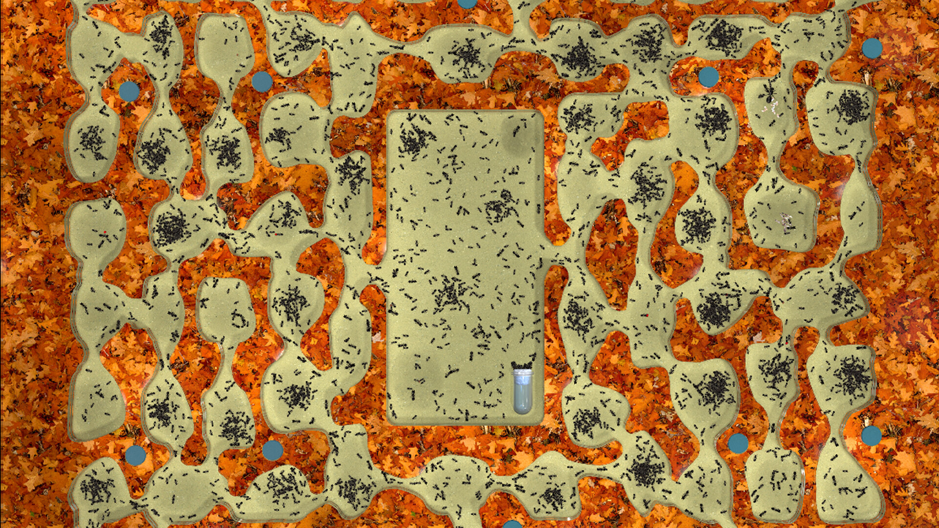 Ant Farm Simulator screenshot 6