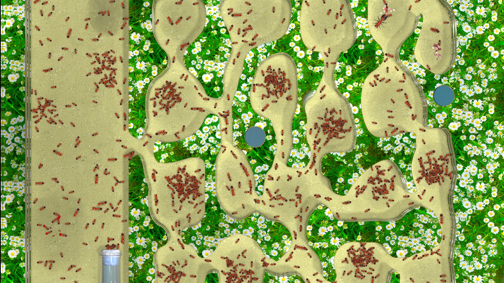Ant Farm Simulator screenshot 5