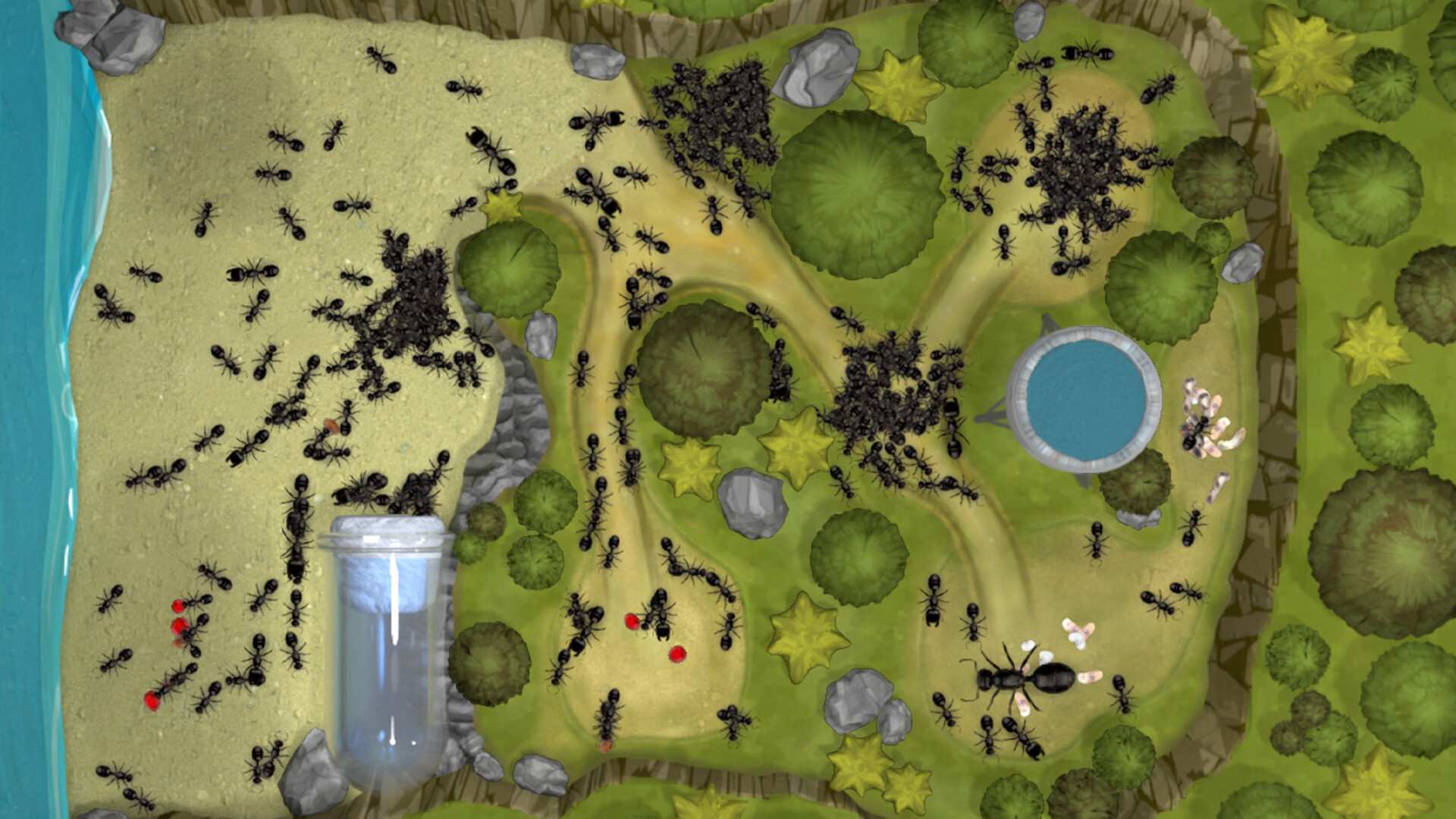 Ant Farm Simulator screenshot 4