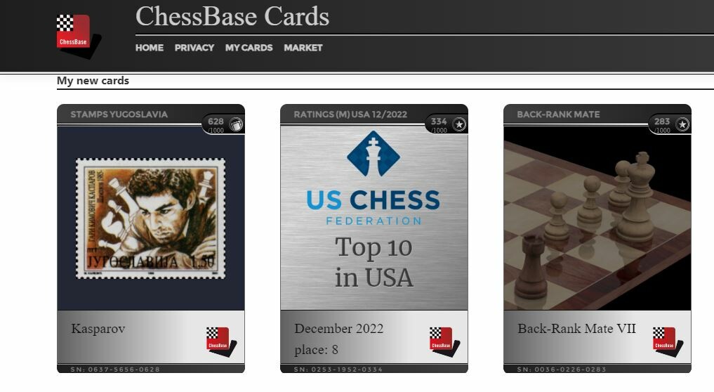 Fritz 12 スペイン版 Amazon.com: Fritz 19 Chess Playing Software Program bundled
