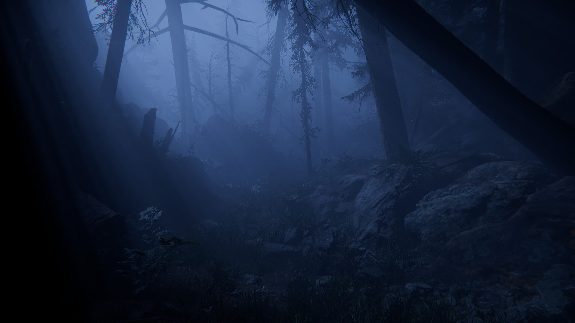 Together After Dark screenshot 12