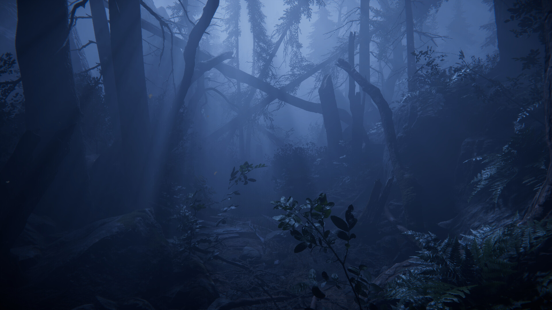 Together After Dark screenshot 14
