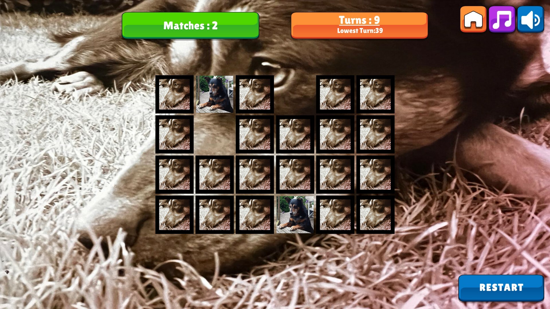 OG Memory: Kira Maus screenshot 5