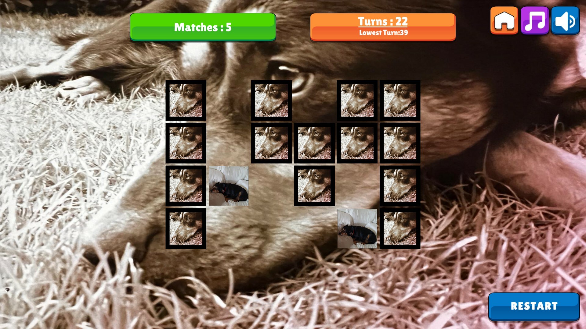 OG Memory: Kira Maus screenshot 2
