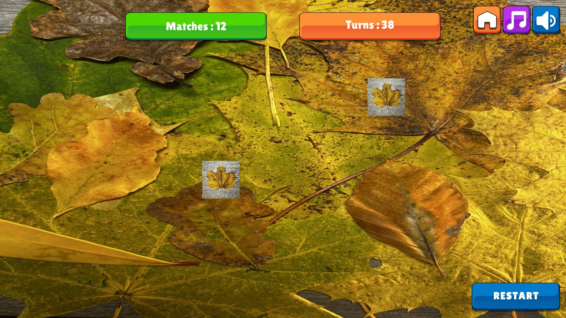 OG Memory:  Fall 2K23 screenshot 5