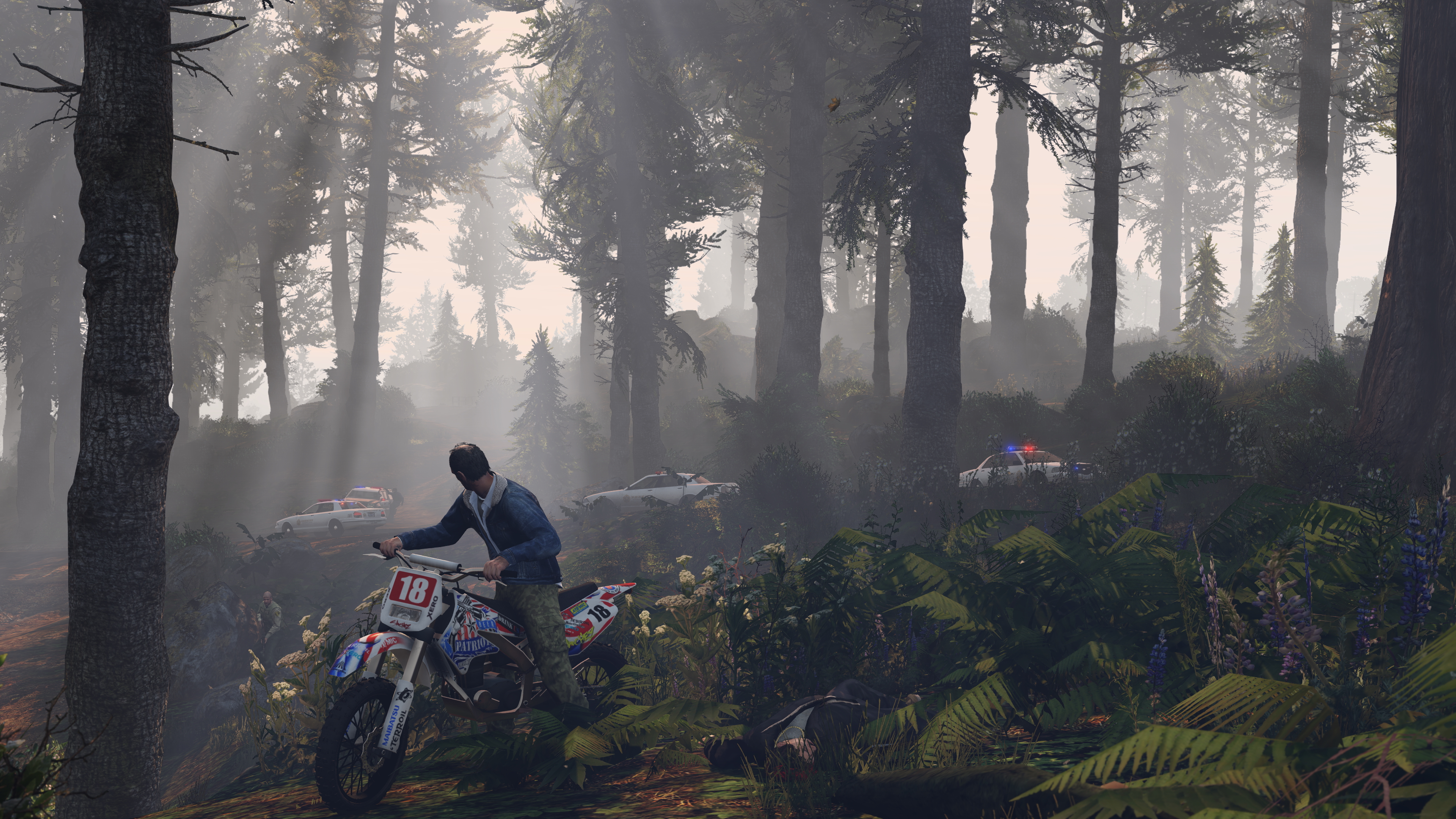 Grand Theft Auto V Legacy screenshot 41