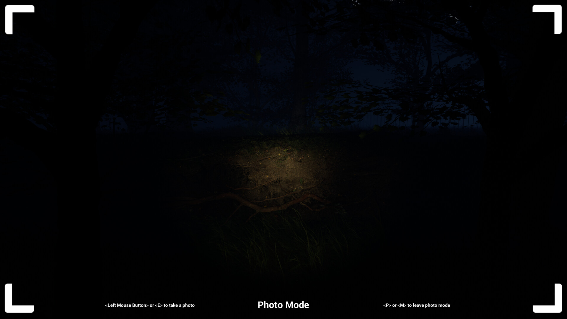 Project Vic screenshot 7
