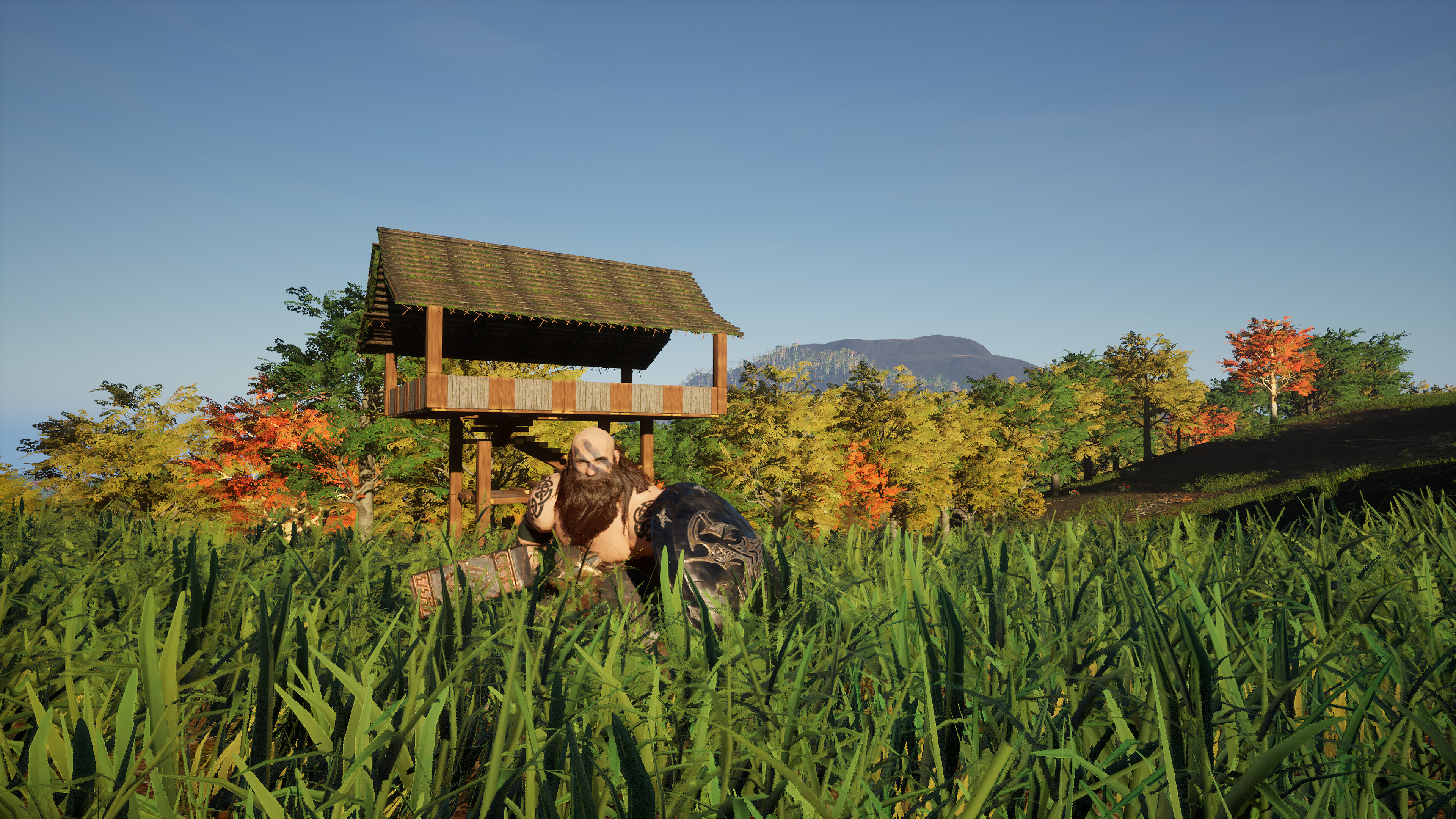 Dwarf Land screenshot 16
