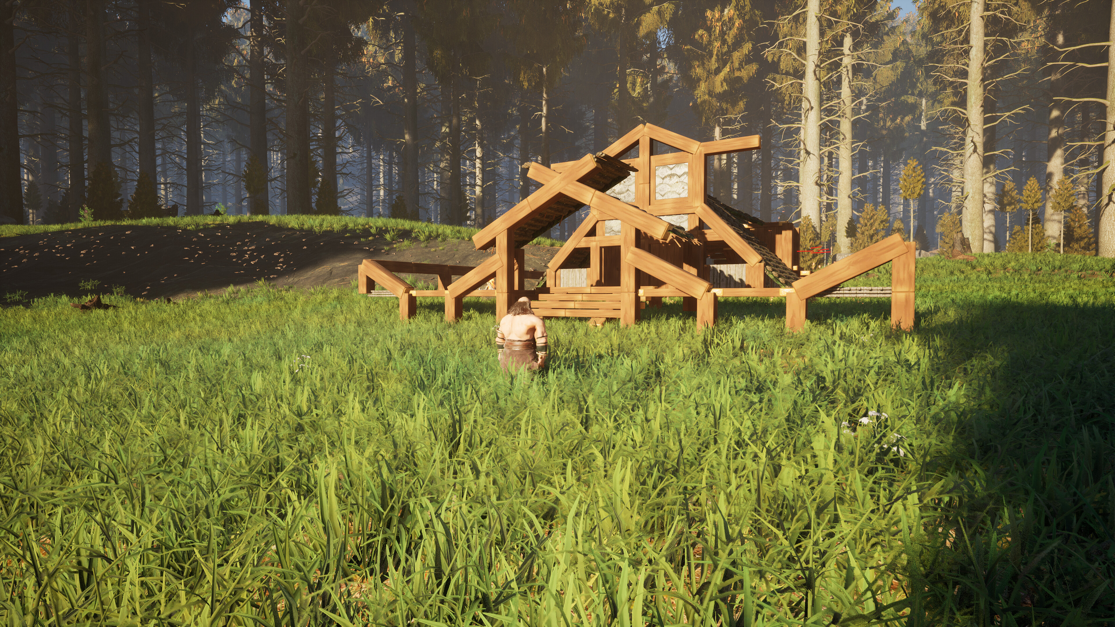 Dwarf Land screenshot 13