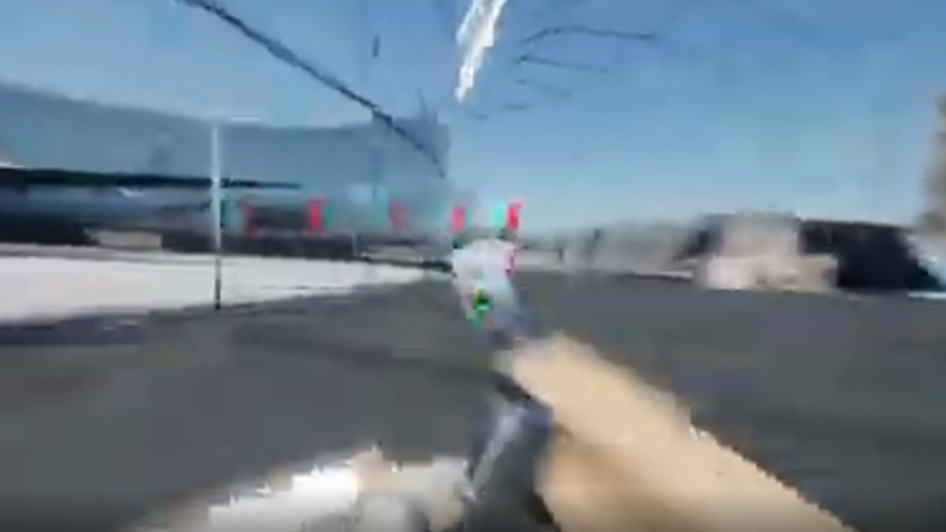 PIGEONS screenshot 5