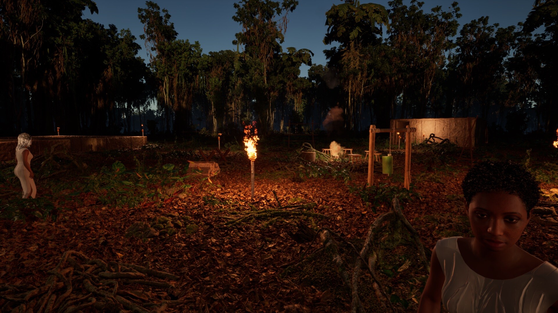 WAIDH screenshot 21
