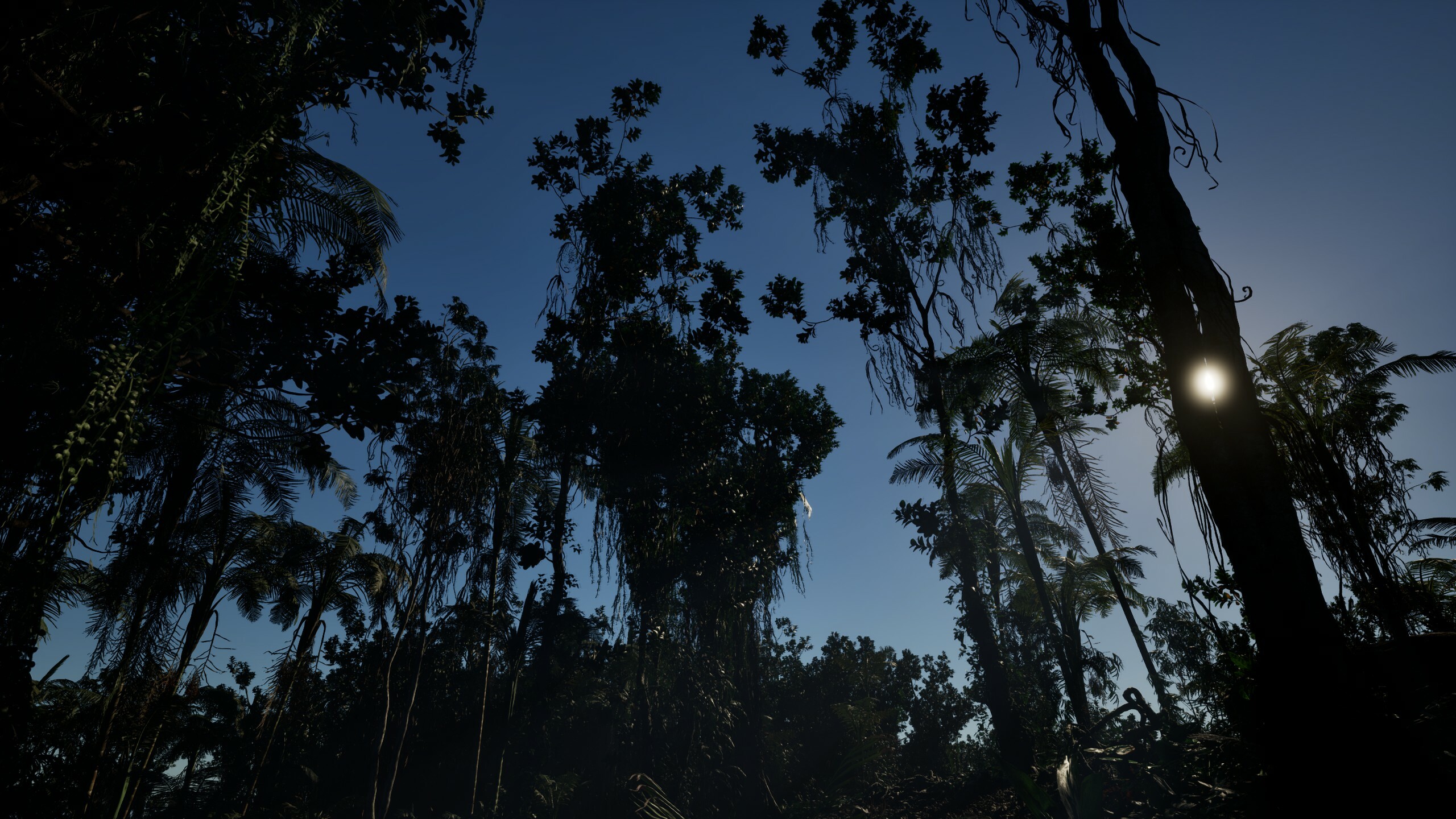 WAIDH screenshot 7