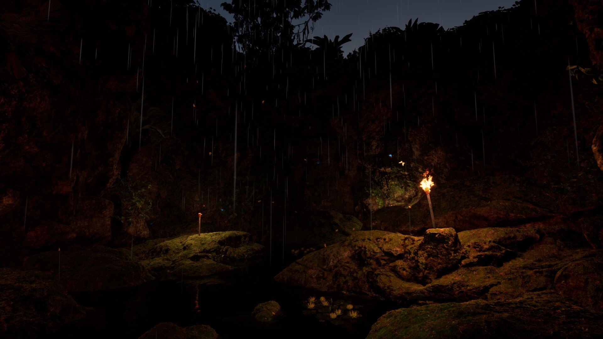 WAIDH screenshot 24