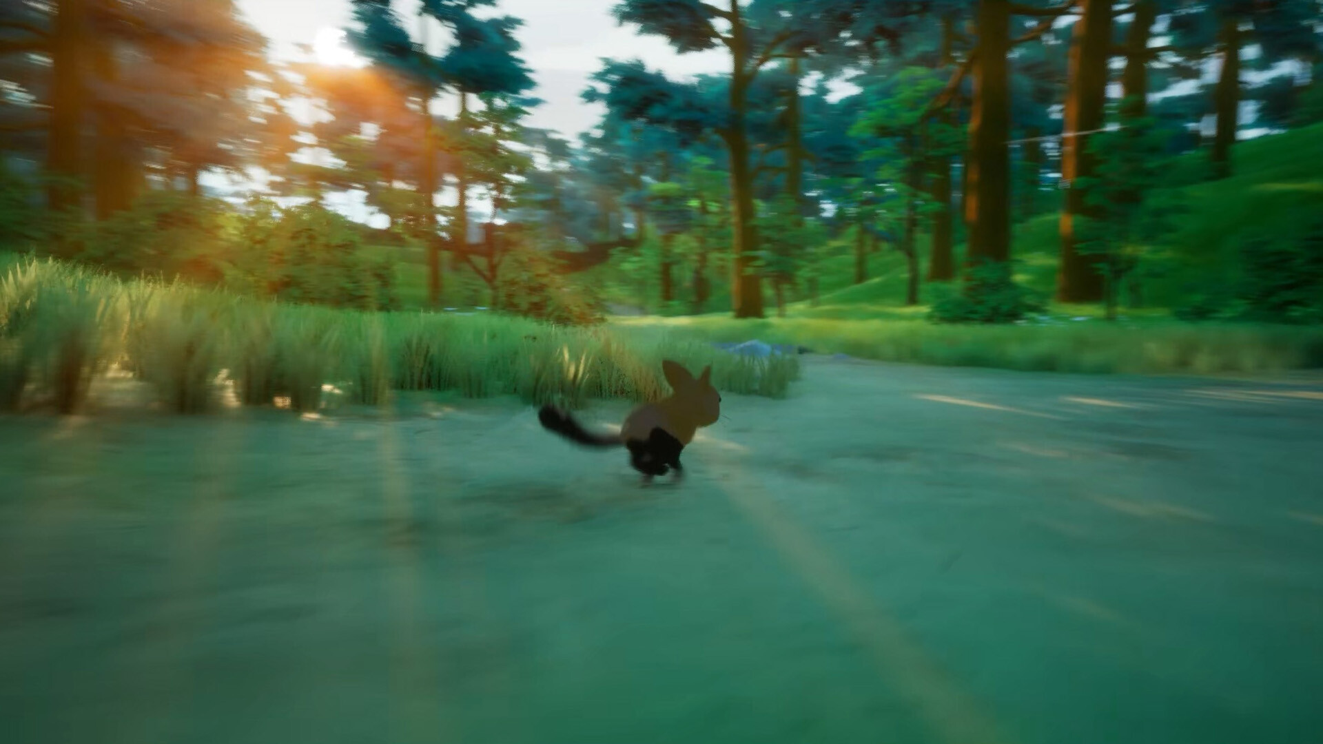 Paws Trail screenshot 6