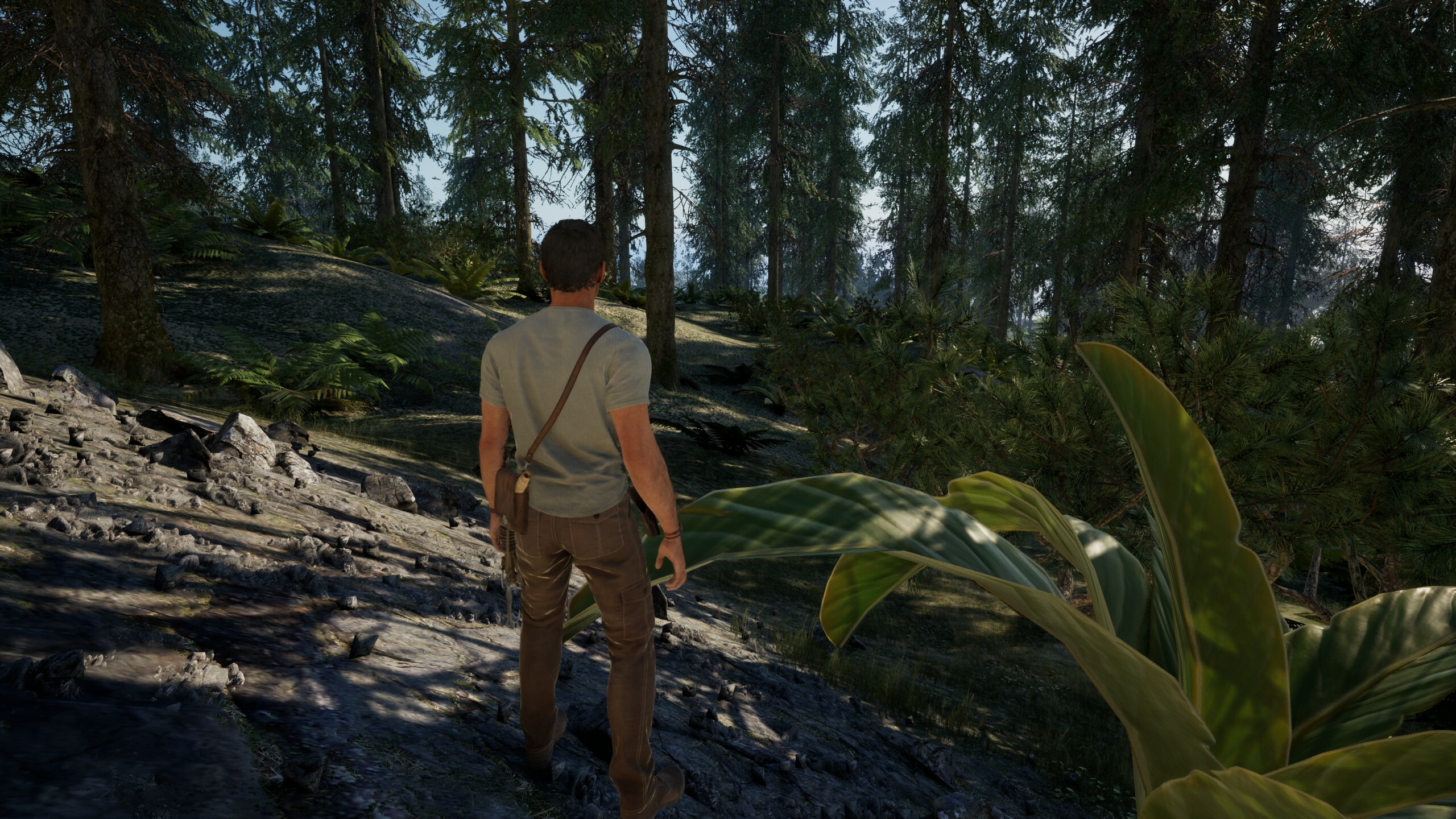 Saffron screenshot 3
